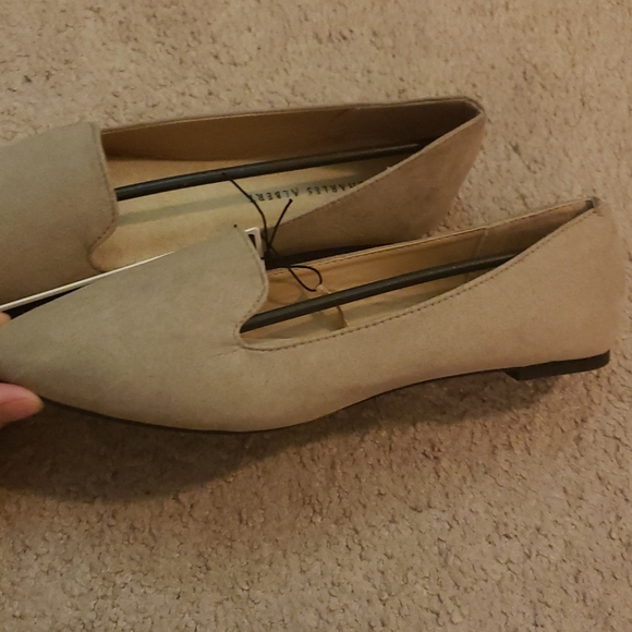 Charles Albert flats - Picture 2 of 6